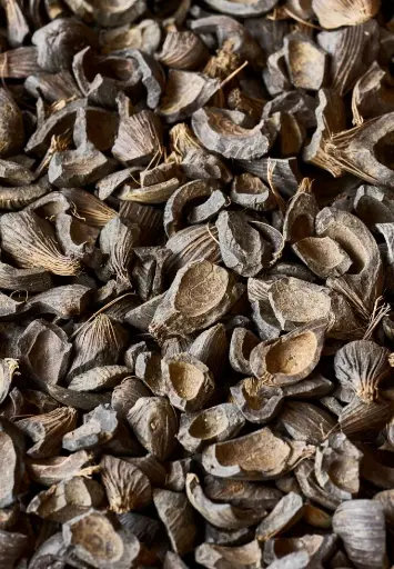 Palm Kernel Shells 1T